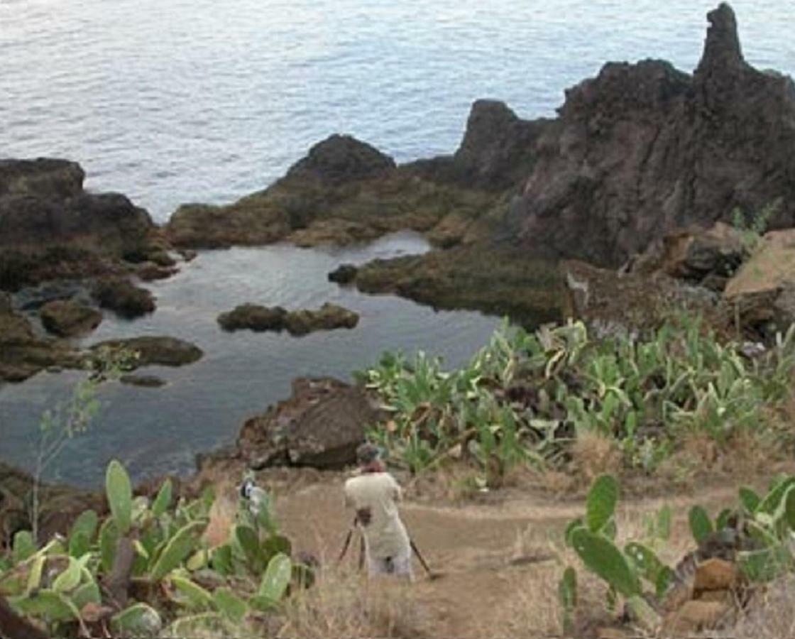 Un Balcon Sur La Mer 丰沙尔 外观 照片